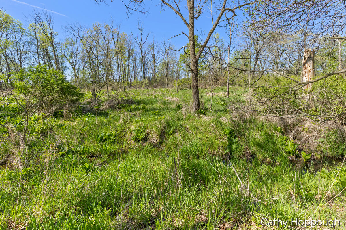 1057 West Tuttle Road Ionia, MI 48846 - Photo 13 of 32 1057-W-Tuttle_014