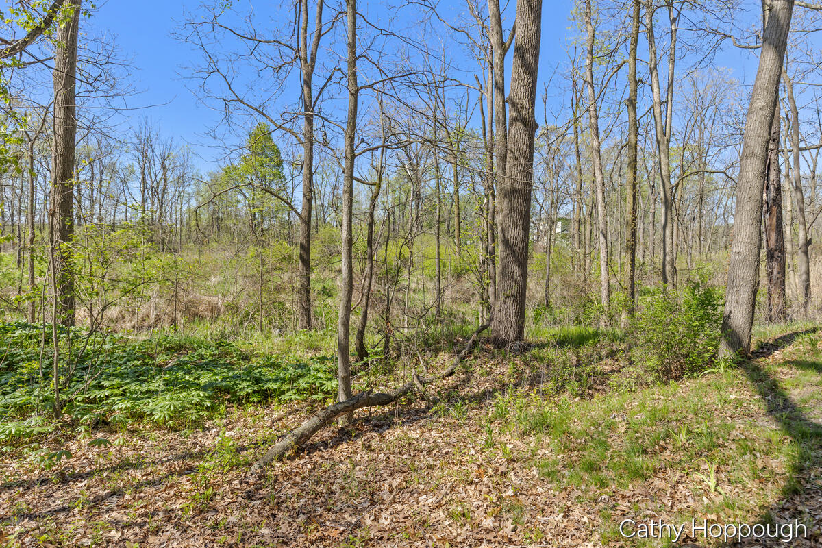 1057 West Tuttle Road Ionia, MI 48846 - Photo 14 of 32 1057-W-Tuttle_015