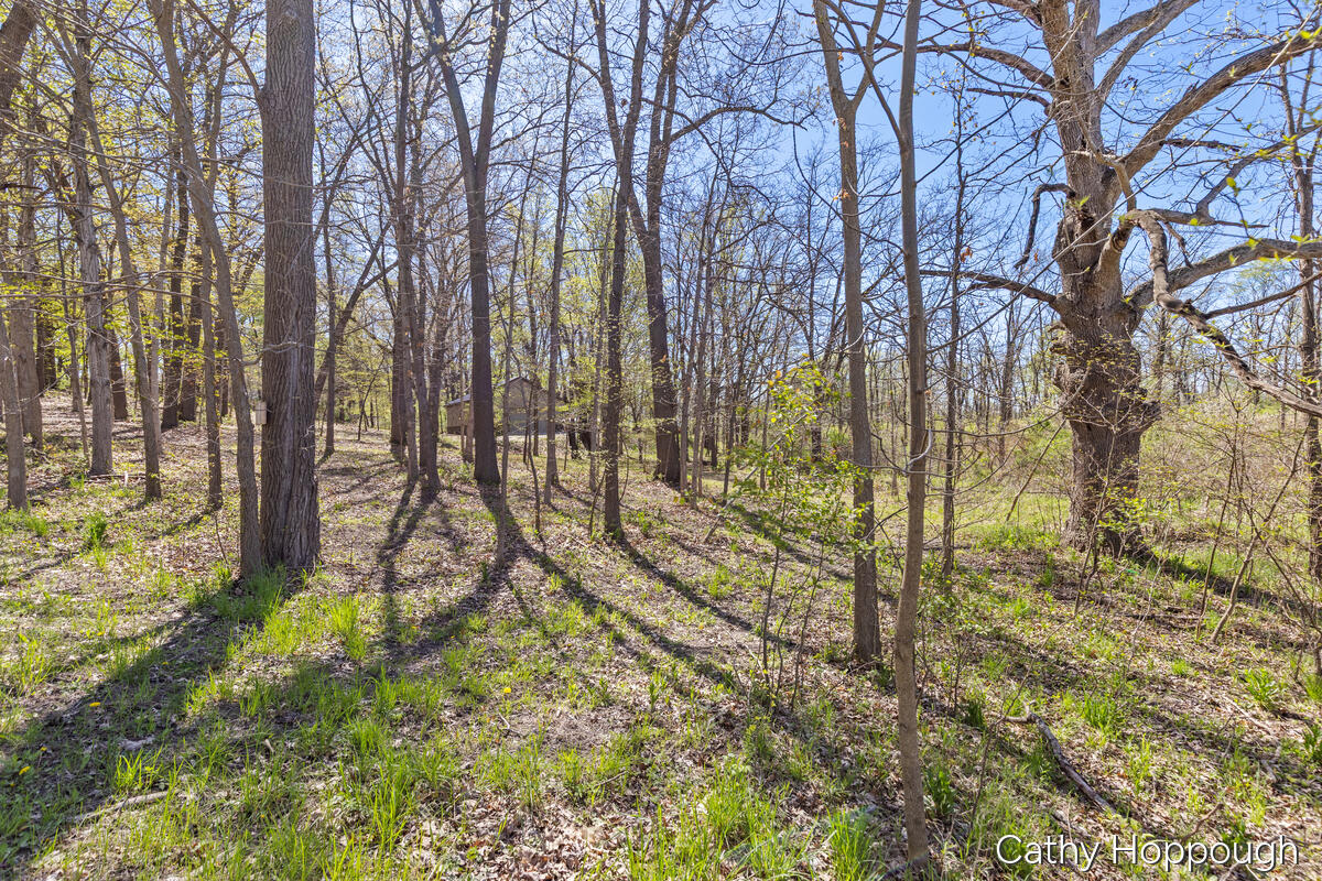 1057 West Tuttle Road Ionia, MI 48846 - Photo 17 of 32 1057-W-Tuttle_018