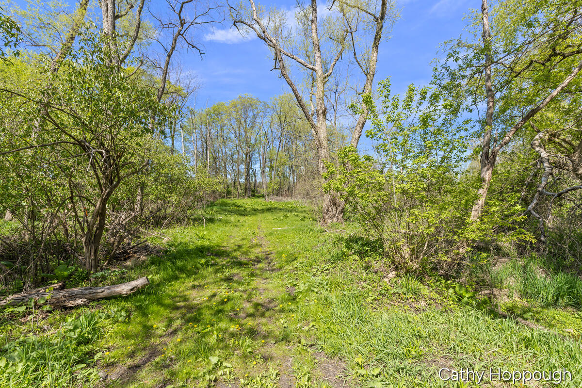 1057 West Tuttle Road Ionia, MI 48846 - Photo 18 of 32 1057-W-Tuttle_019