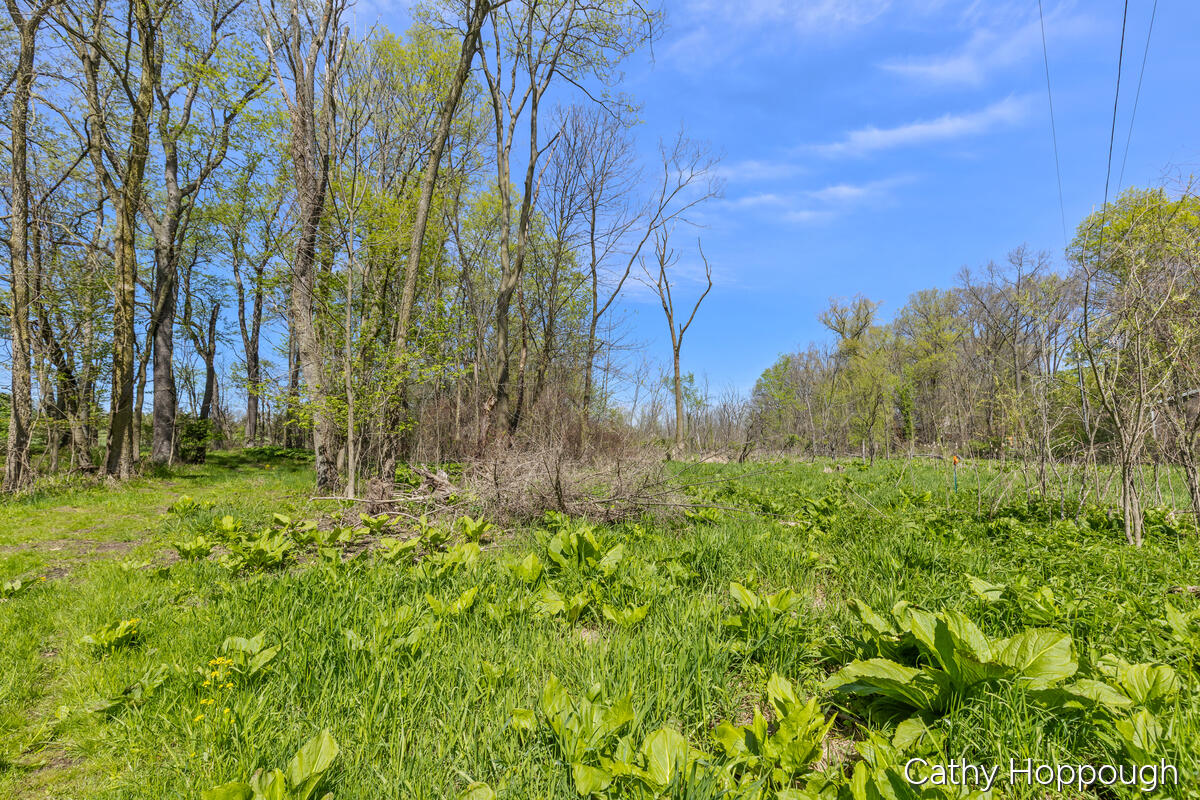 1057 West Tuttle Road Ionia, MI 48846 - Photo 19 of 32 1057-W-Tuttle_020