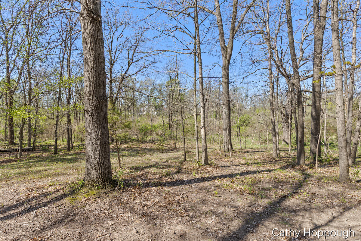 1057 West Tuttle Road Ionia, MI 48846 - Photo 2 of 32 1057-W-Tuttle_002