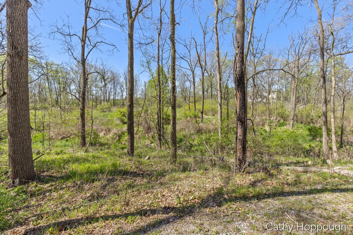 1057 West Tuttle Road Ionia, MI 48846 - Photo 7 of 32 1057-W-Tuttle_007