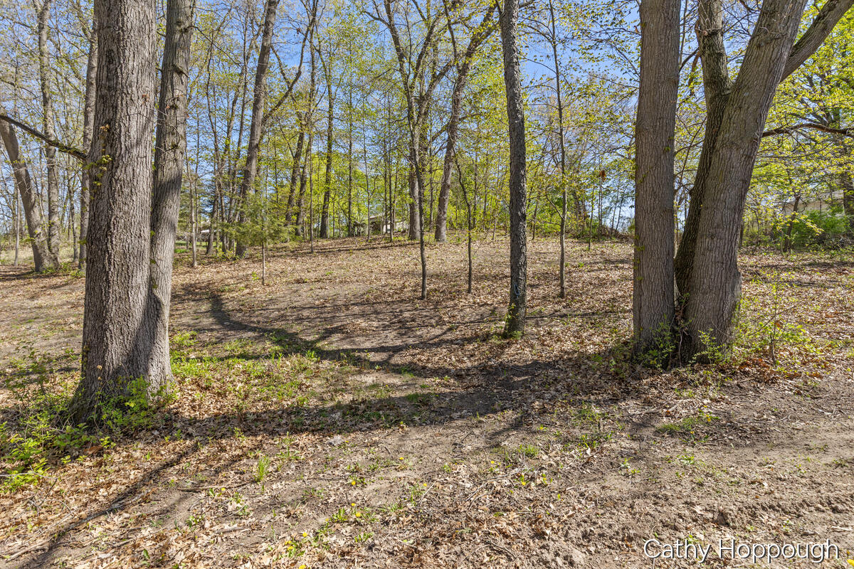 1057 West Tuttle Road Ionia, MI 48846 - Photo 8 of 32 1057-W-Tuttle_009