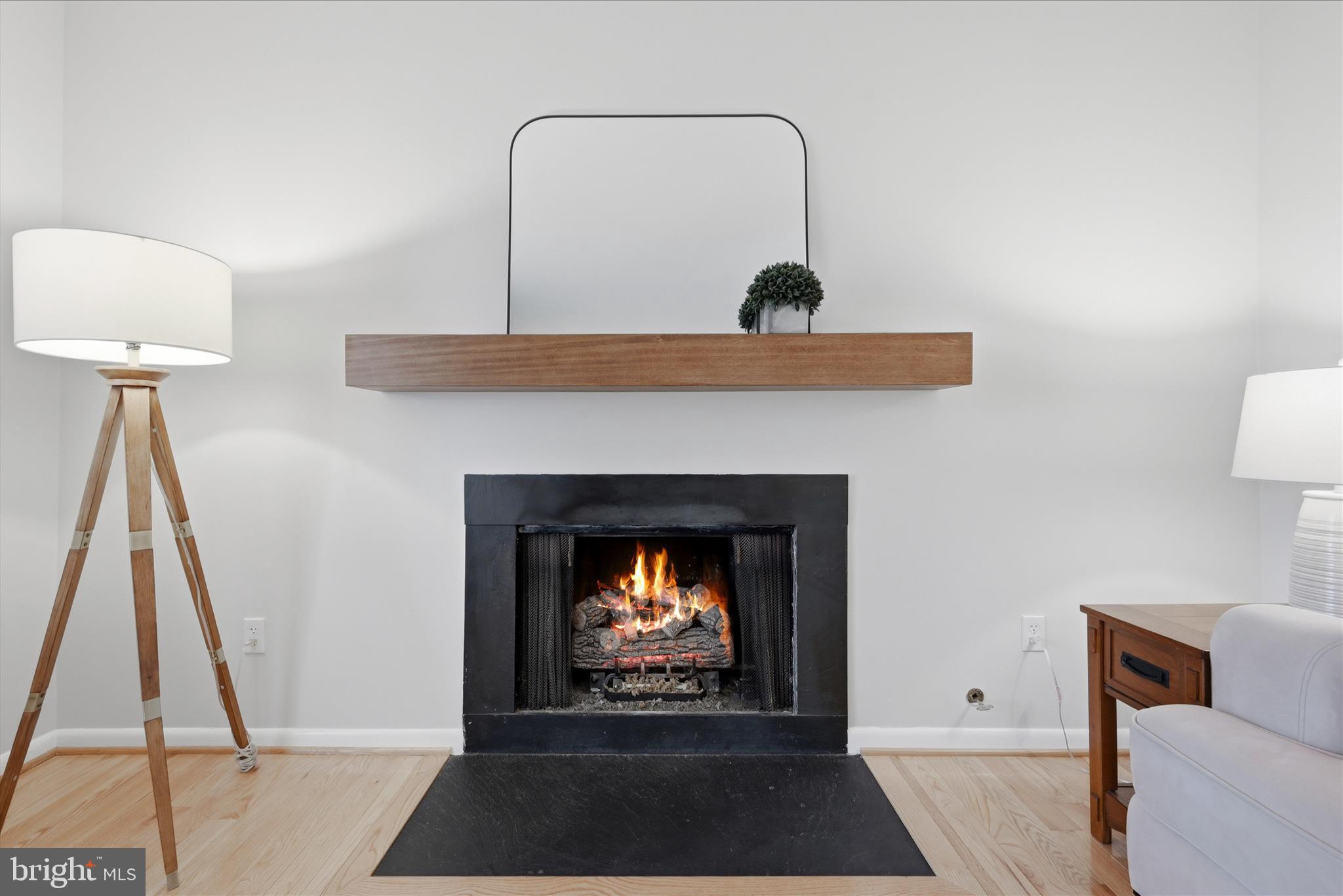 11860 South Lakes Court Reston, VA 20191 - Photo 8 of 76 Fireplace