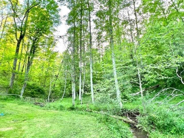 3407 McComas Branch Road Ona, WV 25545 - Photo 11 of 30 Gallery Image 11