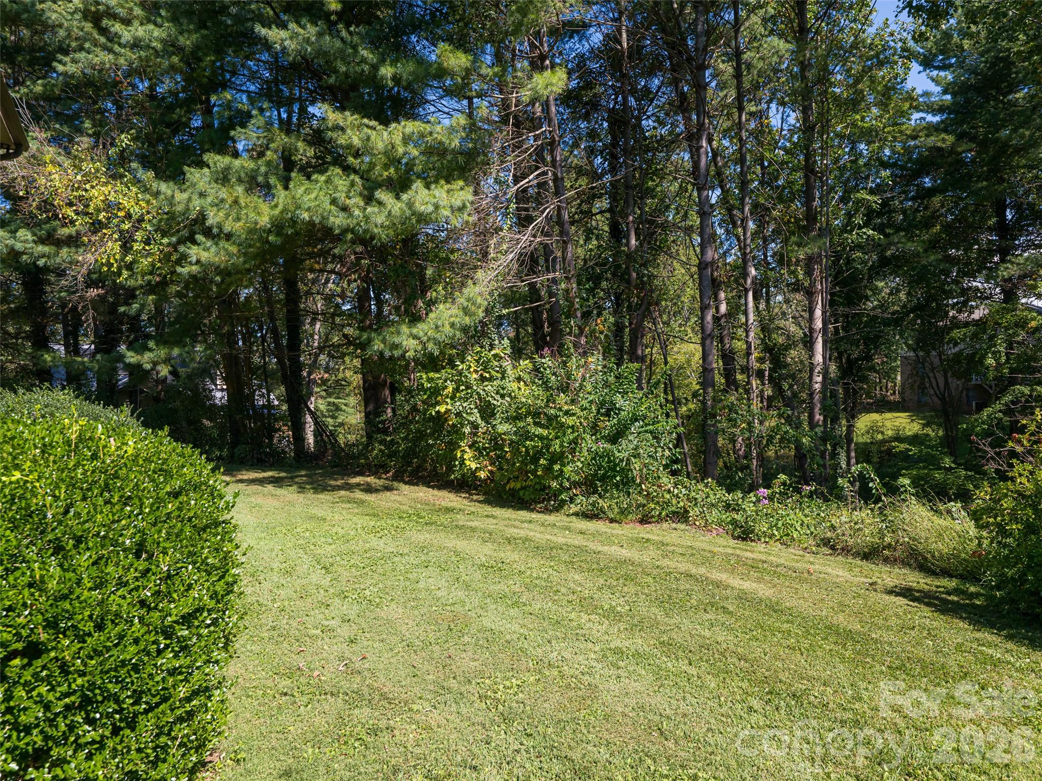 40 Applecross Road Weaverville, NC 28787 - Photo 13 of 46
