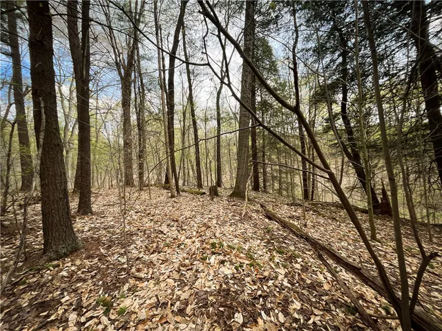 $159,900 | West Creek Road, Berkshire, NY 13736