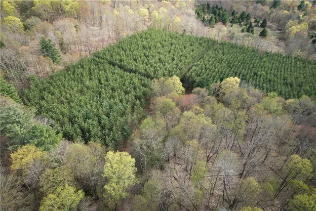 $159,900 | West Creek Road, Berkshire, NY 13736