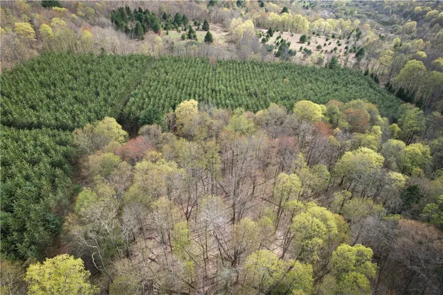 $159,900 | West Creek Road, Berkshire, NY 13736