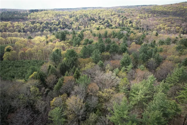 $159,900 | West Creek Road, Berkshire, NY 13736