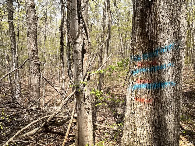 $159,900 | West Creek Road, Berkshire, NY 13736