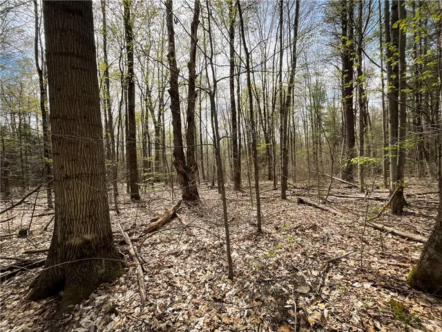 $159,900 | West Creek Road, Berkshire, NY 13736