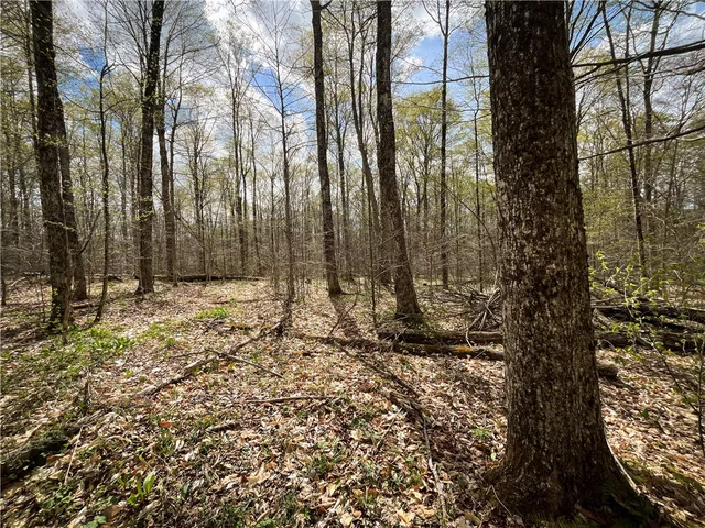 $159,900 | West Creek Road, Berkshire, NY 13736