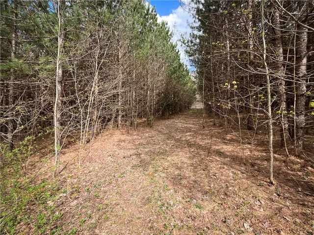 $159,900 | West Creek Road, Berkshire, NY 13736