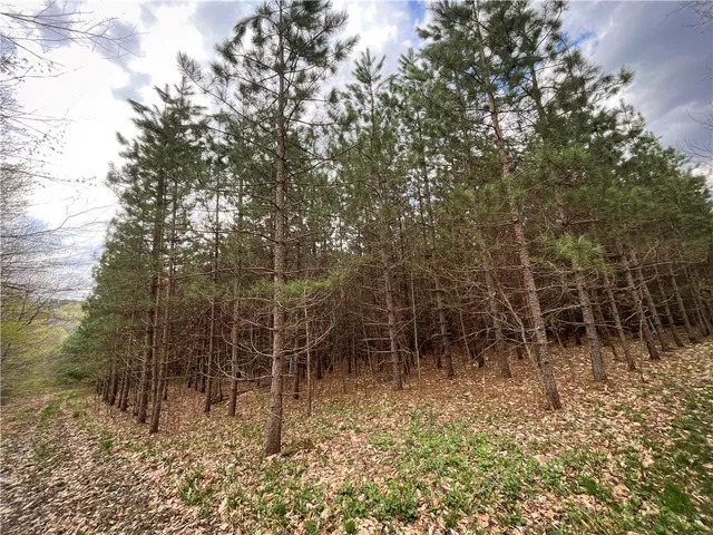 $159,900 | West Creek Road, Berkshire, NY 13736