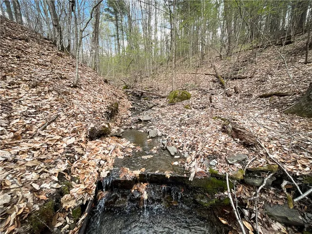 $159,900 | West Creek Road, Berkshire, NY 13736