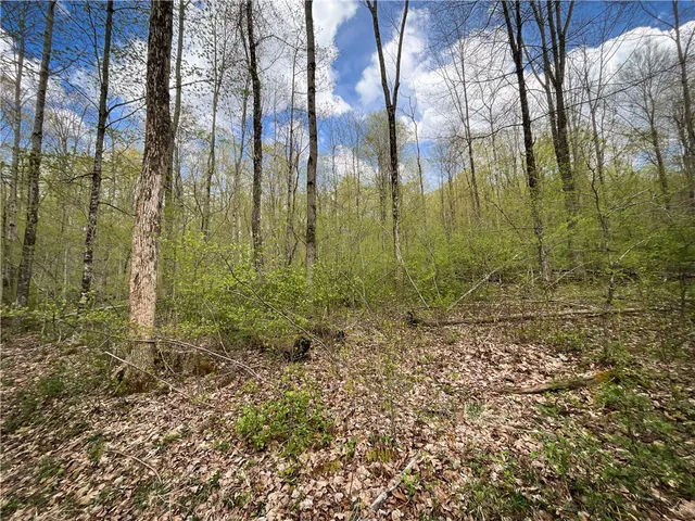 $159,900 | West Creek Road, Berkshire, NY 13736