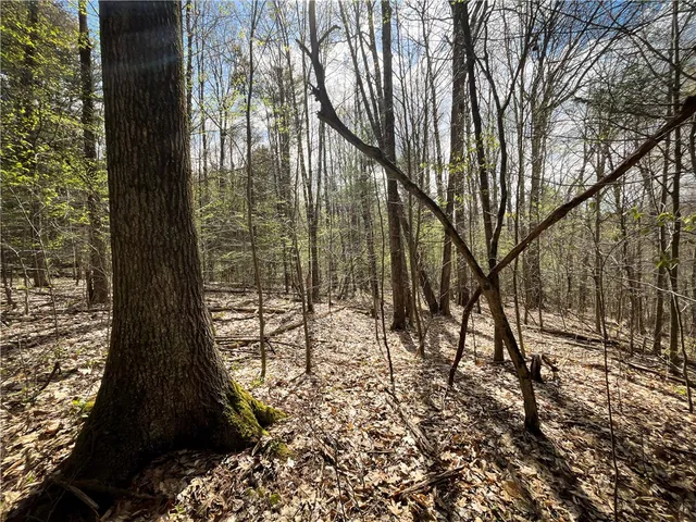 $159,900 | West Creek Road, Berkshire, NY 13736