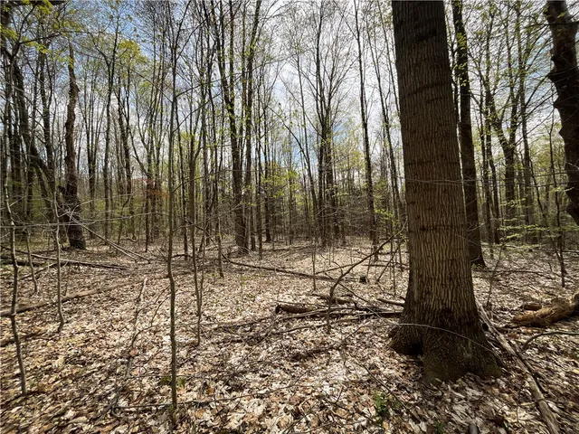 $159,900 | West Creek Road, Berkshire, NY 13736