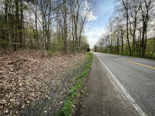 $159,900 | West Creek Road, Berkshire, NY 13736