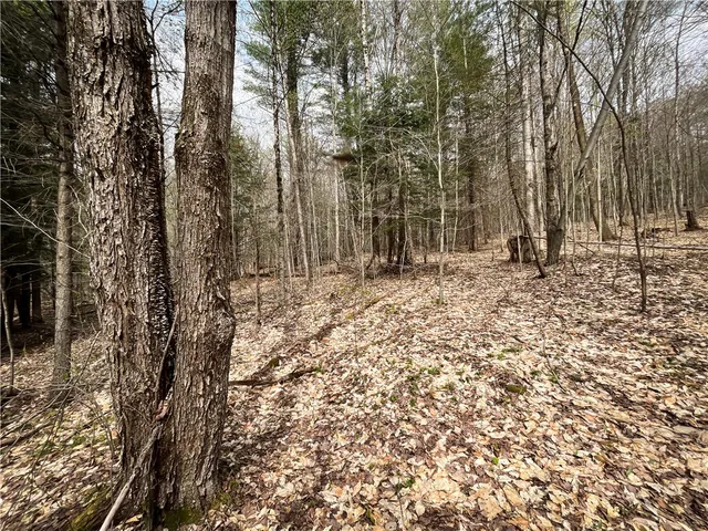 $159,900 | West Creek Road, Berkshire, NY 13736