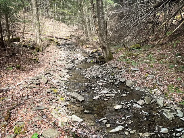 $159,900 | West Creek Road, Berkshire, NY 13736