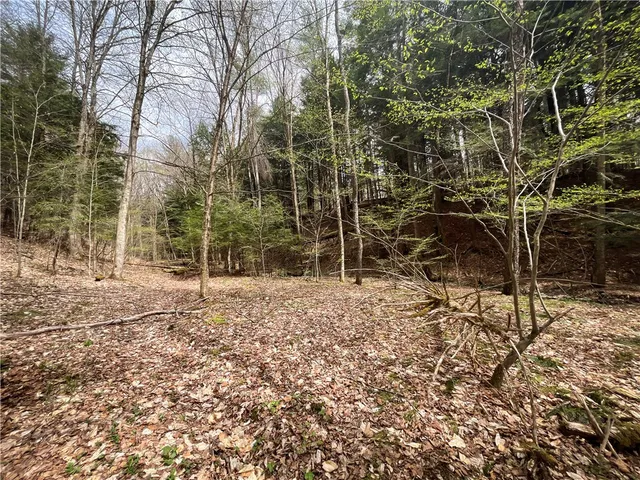 $159,900 | West Creek Road, Berkshire, NY 13736