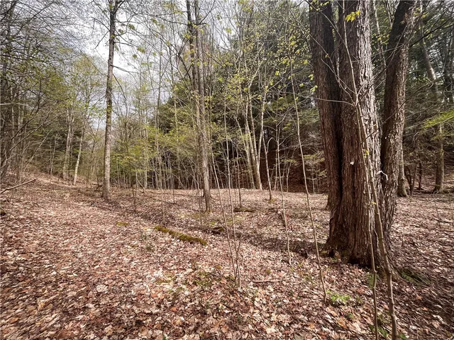 $159,900 | West Creek Road, Berkshire, NY 13736