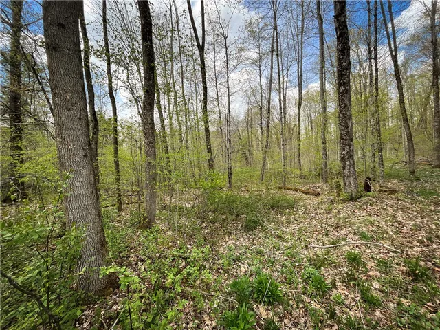 $159,900 | West Creek Road, Berkshire, NY 13736