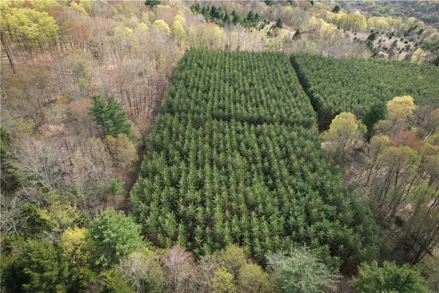 $159,900 | West Creek Road, Berkshire, NY 13736