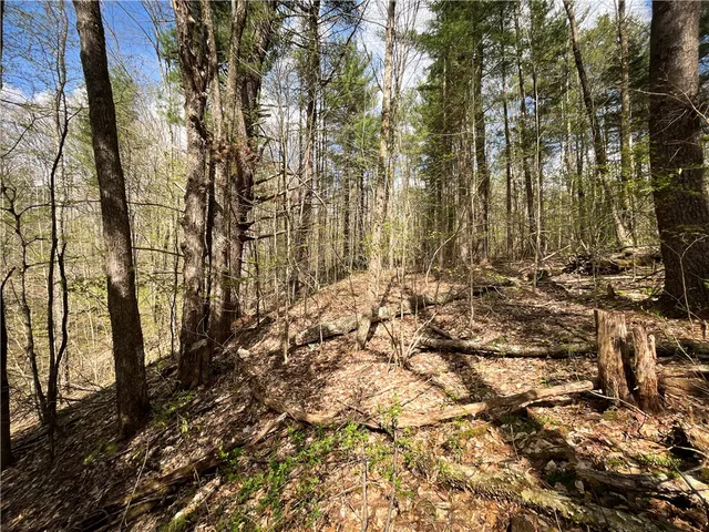 $159,900 | West Creek Road, Berkshire, NY 13736