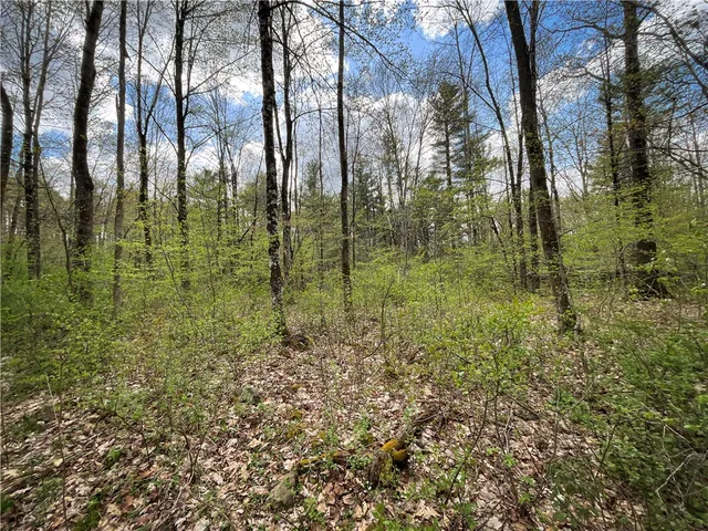 $159,900 | West Creek Road, Berkshire, NY 13736