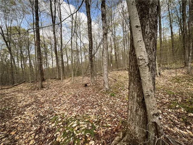 $159,900 | West Creek Road, Berkshire, NY 13736