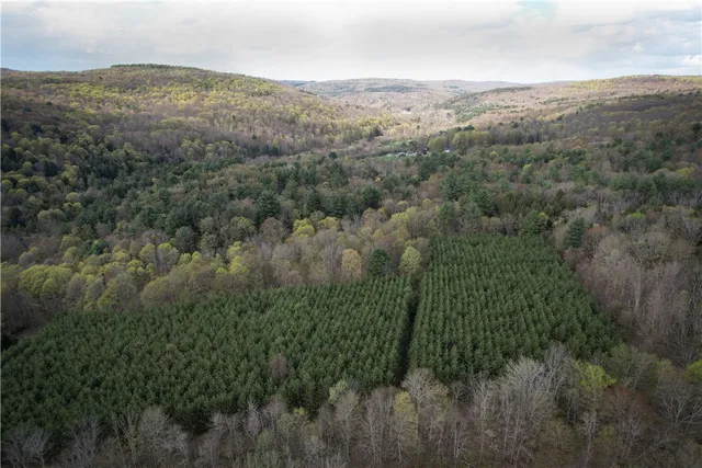 $159,900 | West Creek Road, Berkshire, NY 13736