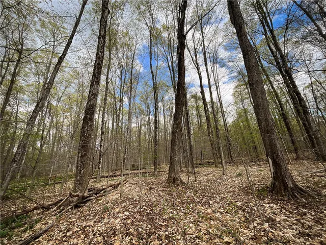 $159,900 | West Creek Road, Berkshire, NY 13736