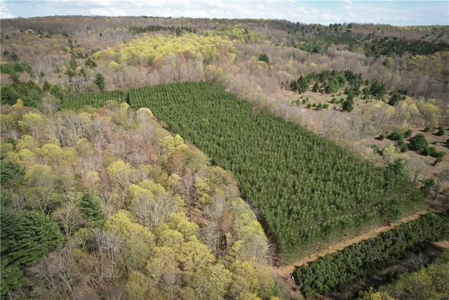 $159,900 | West Creek Road, Berkshire, NY 13736