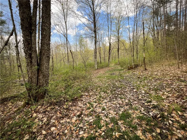 $159,900 | West Creek Road, Berkshire, NY 13736