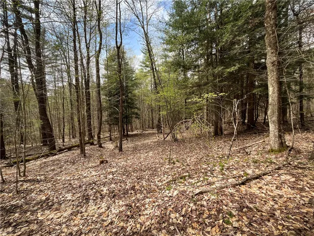 $159,900 | West Creek Road, Berkshire, NY 13736