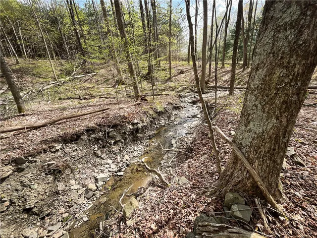 $159,900 | West Creek Road, Berkshire, NY 13736