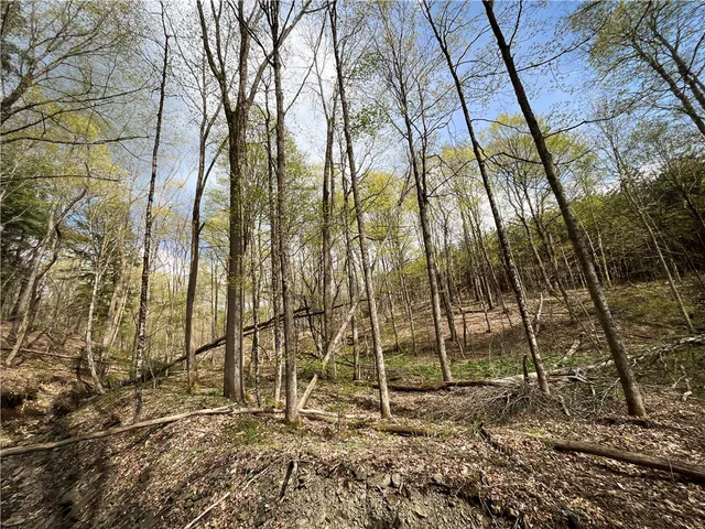 $159,900 | West Creek Road, Berkshire, NY 13736