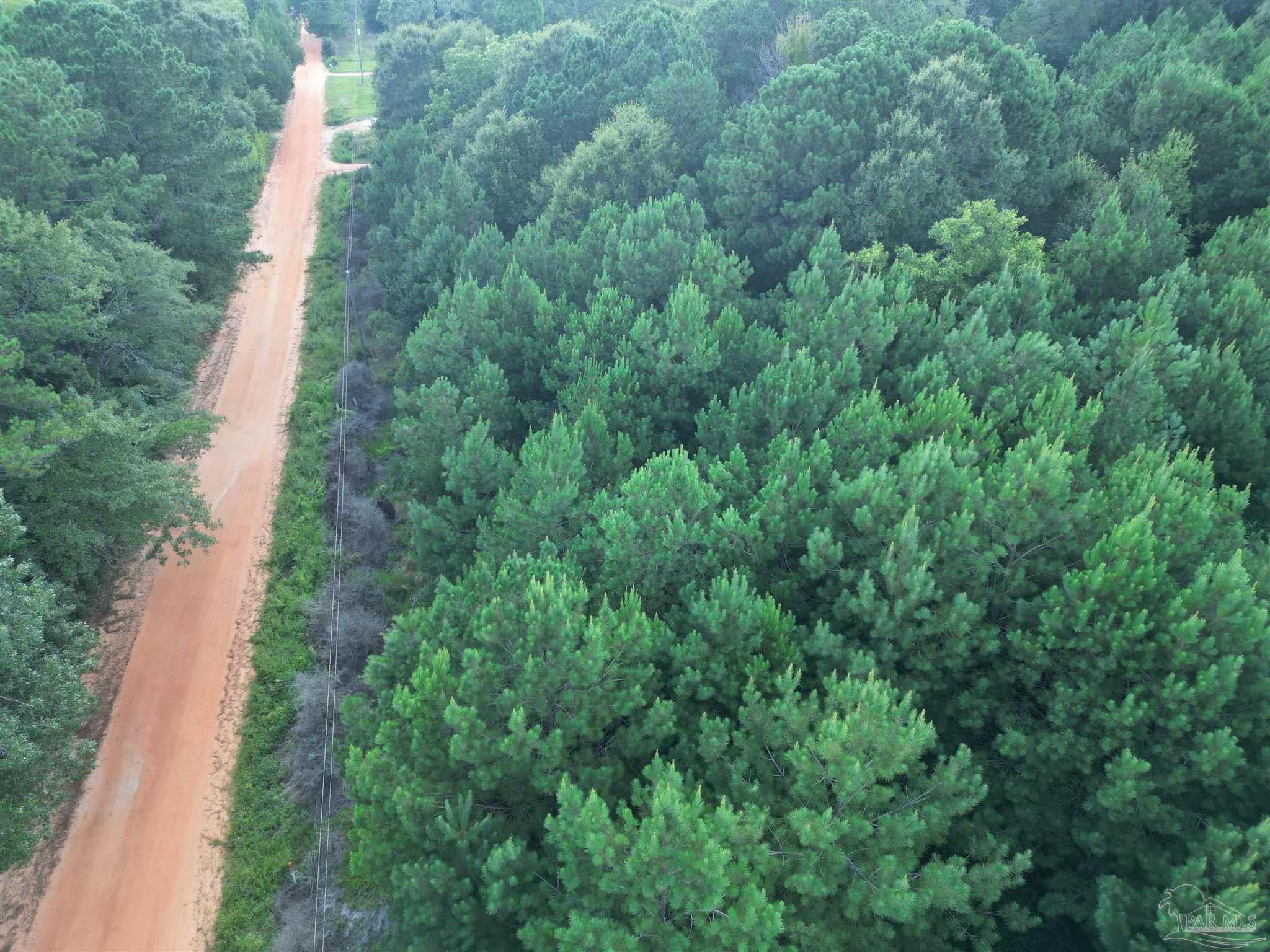 0 Janes Mill Road Brewton, AL 36426 - Photo 11 of 17