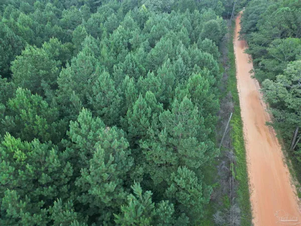$155,000 | 0 Janes Mill Road, Brewton, AL 36426