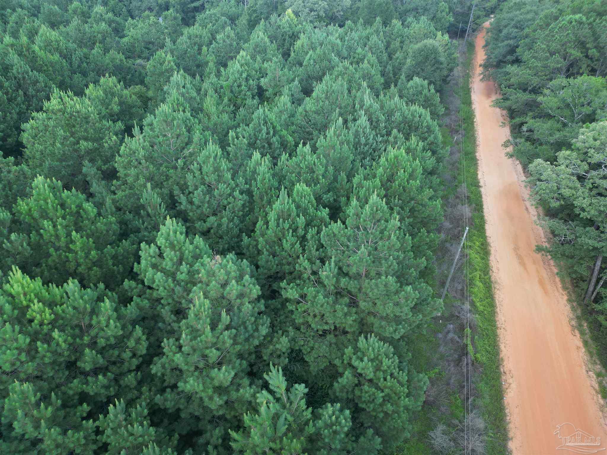0 Janes Mill Road Brewton, AL 36426 - Photo 12 of 17