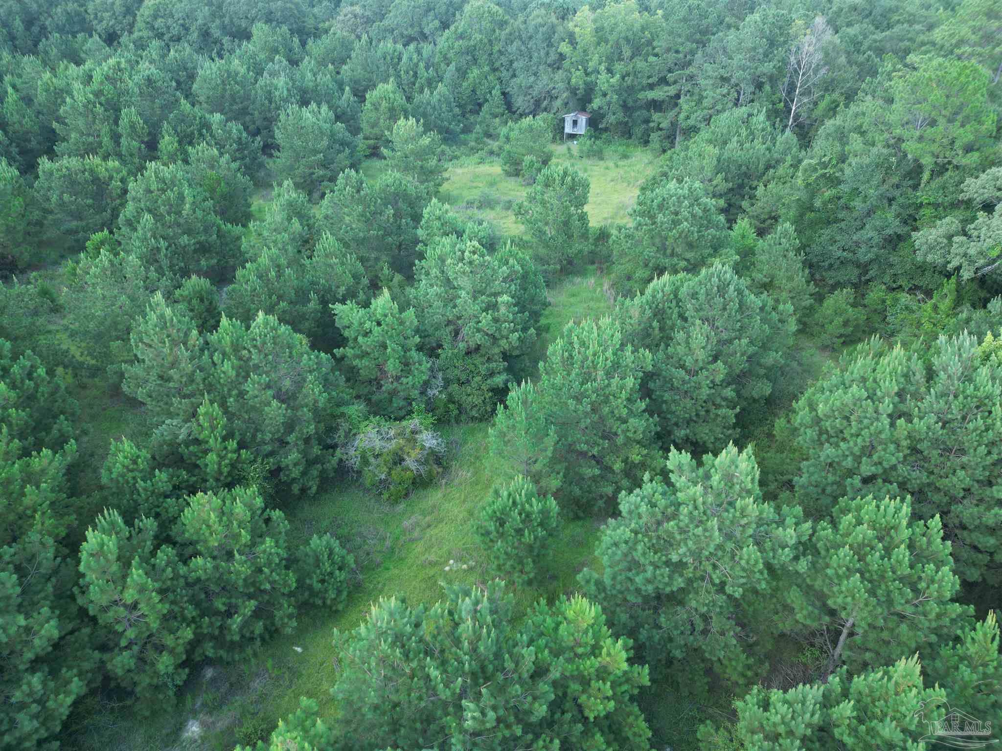 0 Janes Mill Road Brewton, AL 36426 - Photo 13 of 17