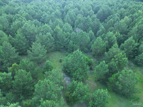 $155,000 | 0 Janes Mill Road, Brewton, AL 36426