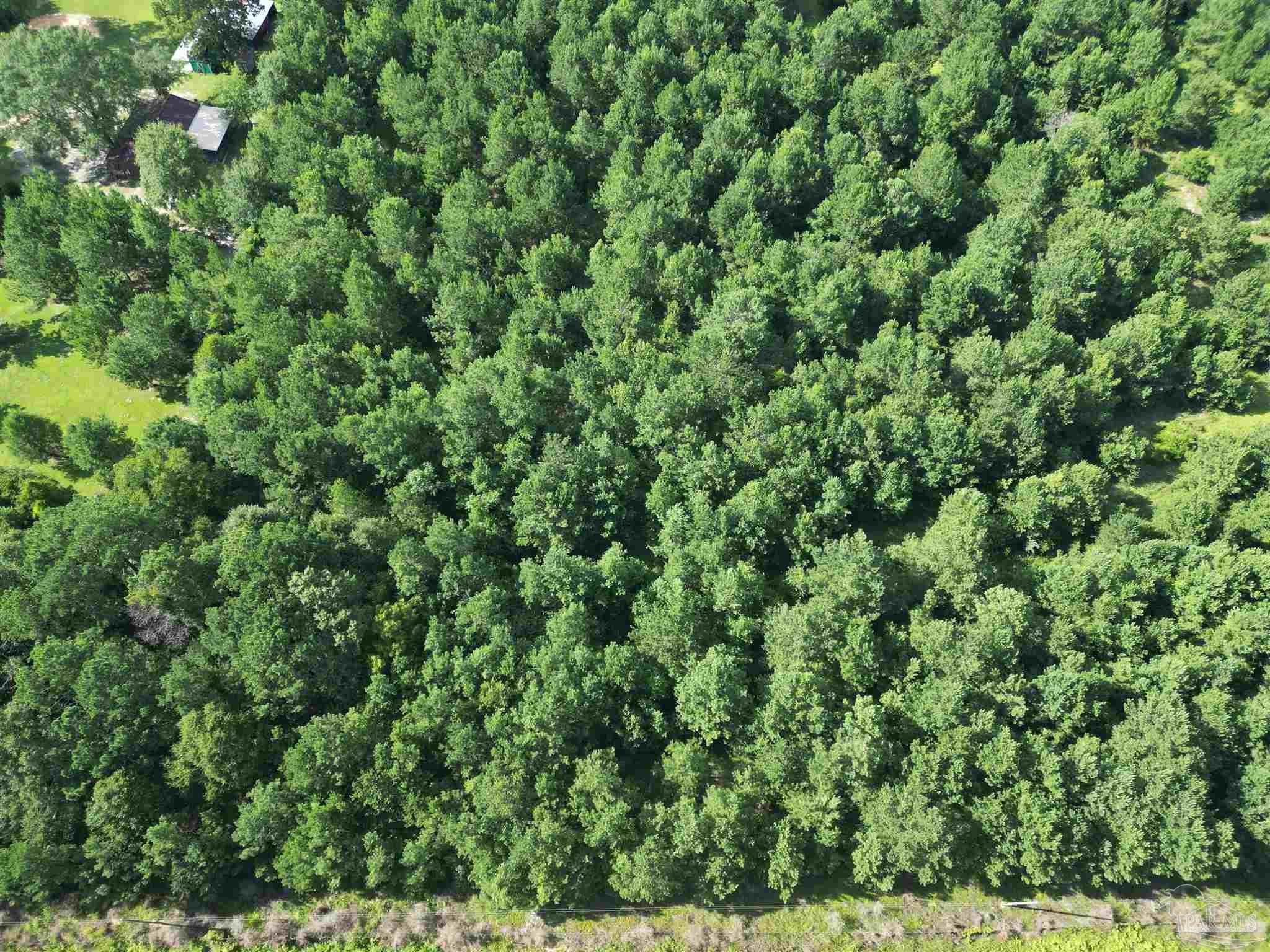 0 Janes Mill Road Brewton, AL 36426 - Photo 2 of 17