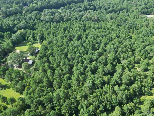 $155,000 | 0 Janes Mill Road, Brewton, AL 36426