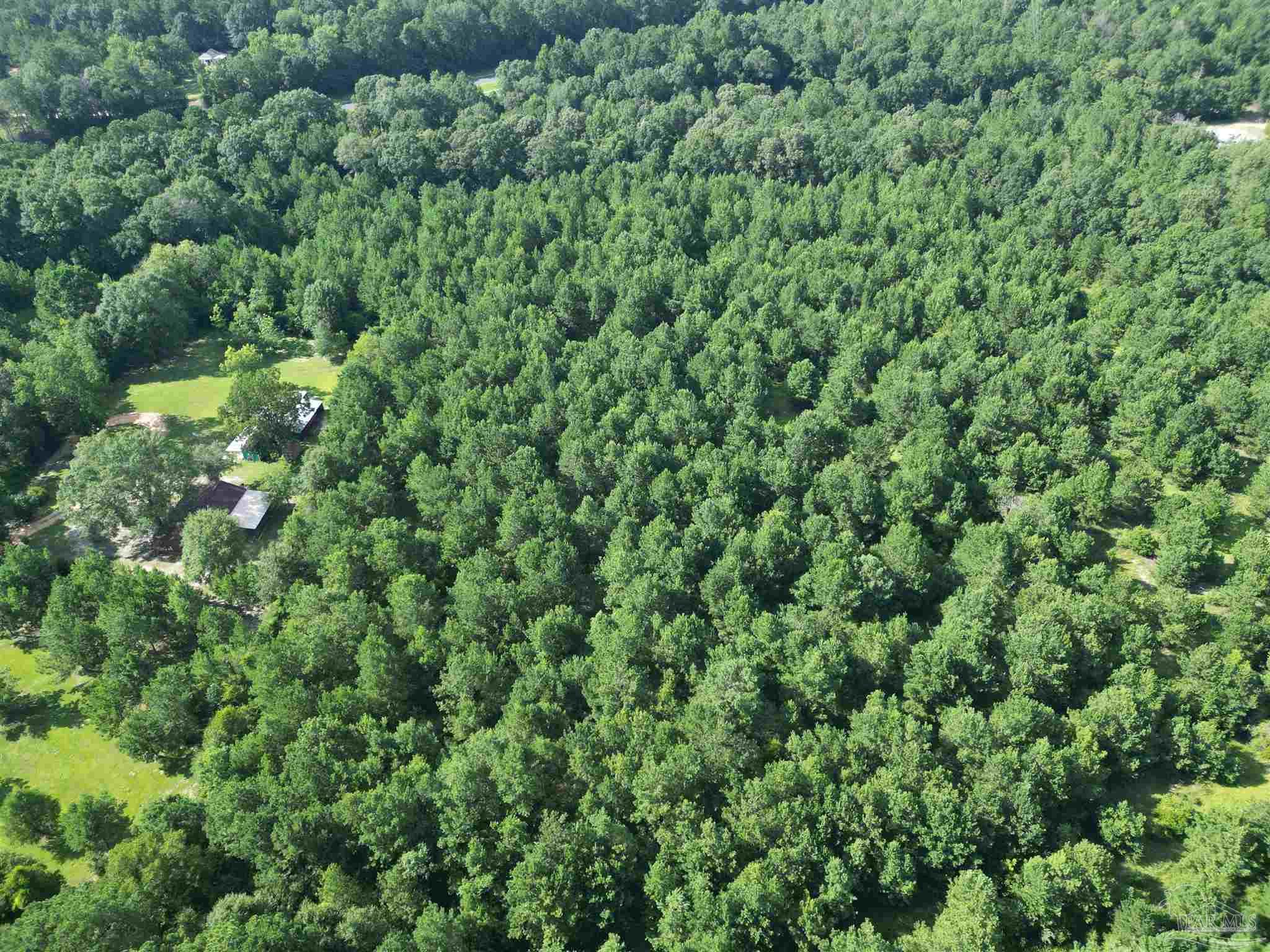 0 Janes Mill Road Brewton, AL 36426 - Photo 3 of 17