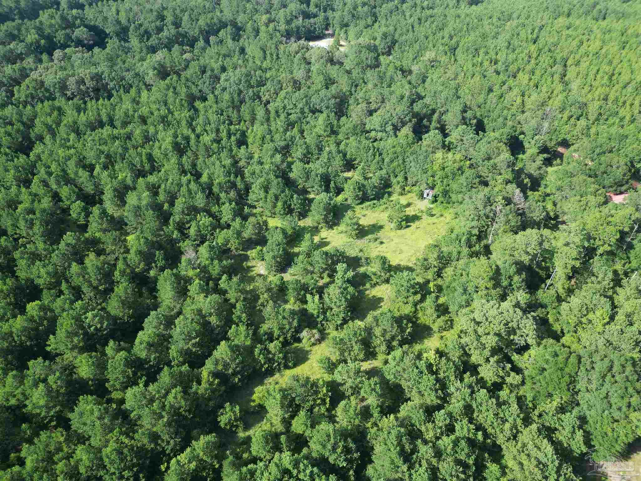 0 Janes Mill Road Brewton, AL 36426 - Photo 4 of 17